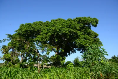 DSC_8318 (Large).JPG